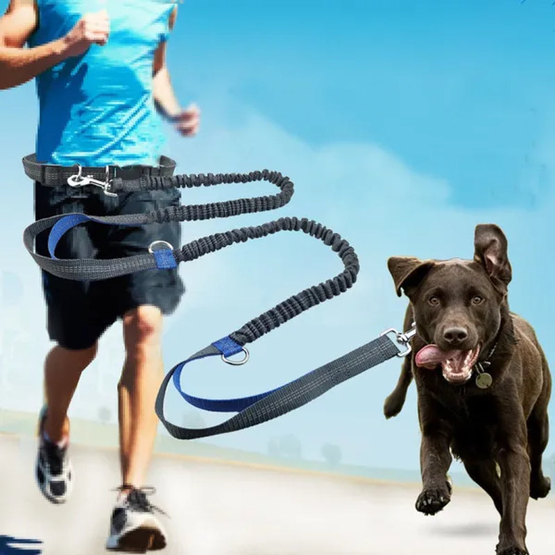 Dog Running Comfortable Leashes Dog Accessories Leash for Dogs Supplies Chiens Traction Rope Pet Elastic Dog Supplies